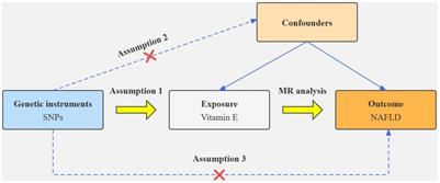 Associations of dietary sources of antioxidant intake and NAFLD: NHANES 2017–2020 and Mendelian randomization